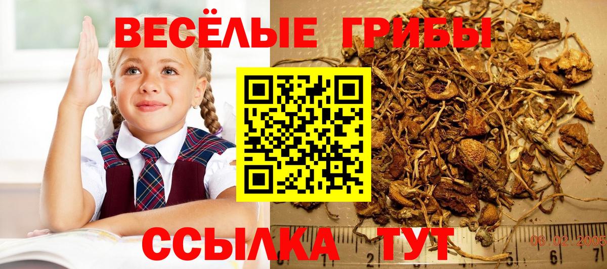 Псилоцибиновые грибы прущие грибы Лабинск