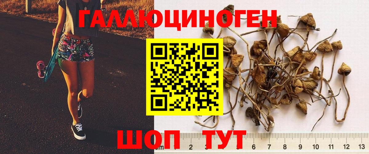 купить наркотики цена  Псилоцибиновые грибы GOLDEN TEACHER  Лабинск  Вход с VPN  Псилоцибиновые грибы ЛСД 